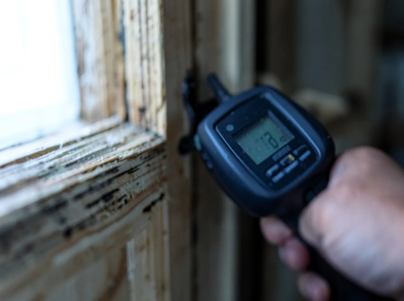 Moisture Inspection And Documentation in Norwich, VT